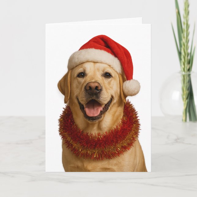 Tarjeta Yellow Labrador Retriever Christmas card (Anverso)