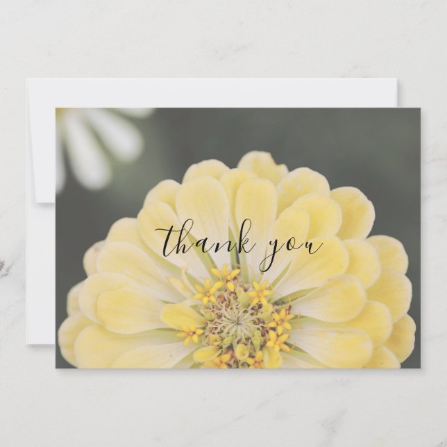 Tarjeta Yellow Zinnia Flower Flour Flat (Anverso)