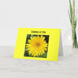 Tarjeta yellowgerberdaisy, pensando en usted
