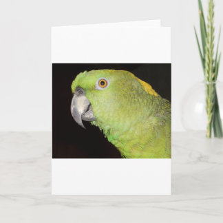 Tarjeta Yellownape el Amazonas