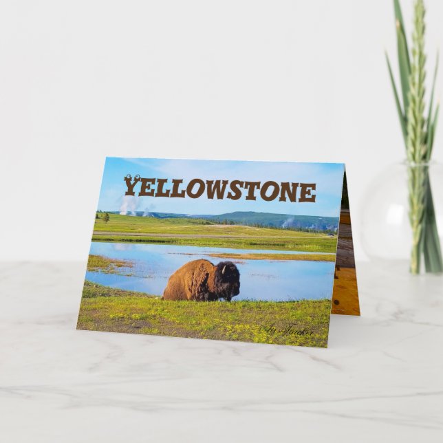 Tarjeta Yellowstone (Anverso)
