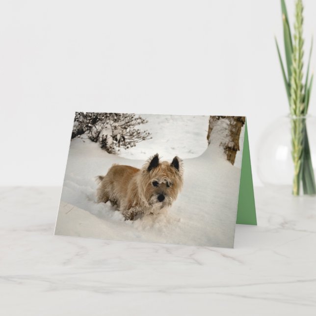 Tarjeta Yeti (Anverso)