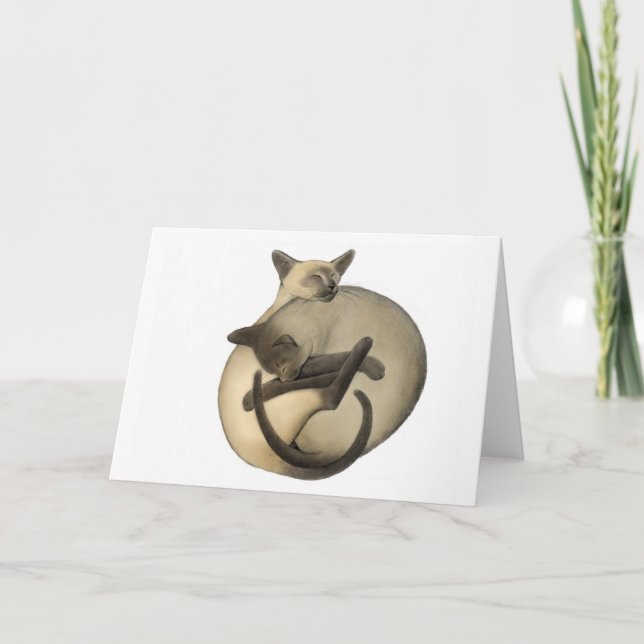 Tarjeta Yin Yang Siamese para gatos (Anverso)