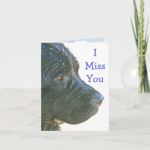 Tarjeta "Yo Srta. You" hermoso, Triste-mirando el perro de