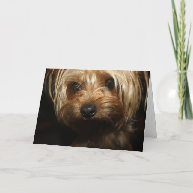 Tarjeta Yorkie (Anverso)