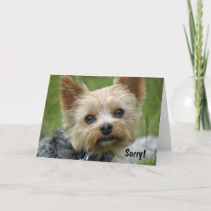 Tarjeta Yorkie