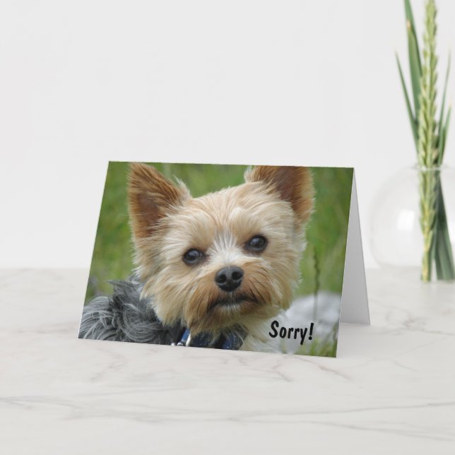 Tarjeta Yorkie (Anverso)