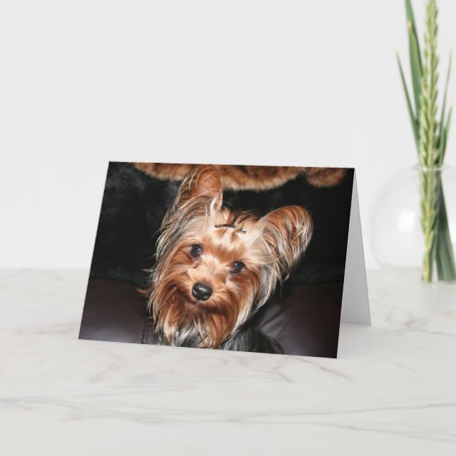 Tarjeta Yorkie (Anverso)