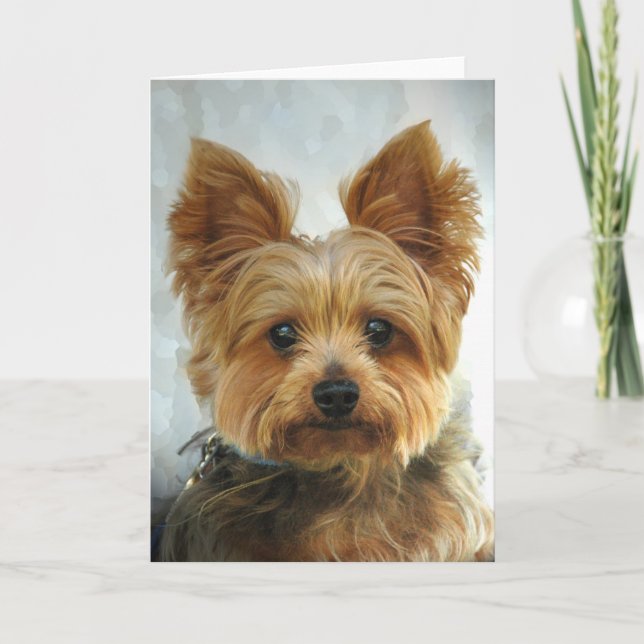 Tarjeta Yorkie (Anverso)