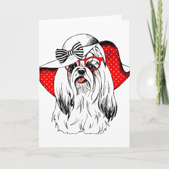 Tarjeta Yorkie Fashion Shoot (Anverso)