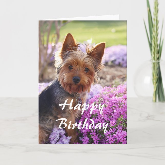 Tarjeta Yorkie Feliz cumpleaños (Anverso)