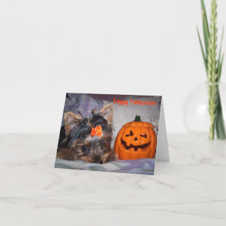 Tarjeta Yorkie Halloween Notecard