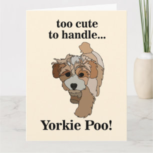 Tarjeta Yorkie Poo Yorkipoo Cute Dog