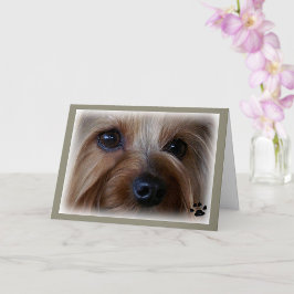 Tarjeta Yorkie Sad Eyes