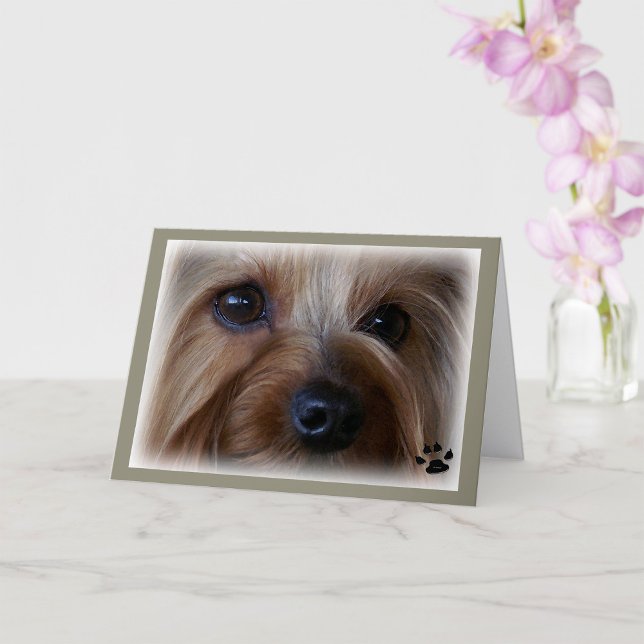 Tarjeta Yorkie Sad Eyes (Subido por el creador)