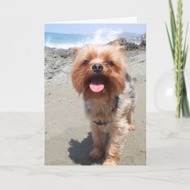 Tarjeta yorkie te extraña (Anverso)