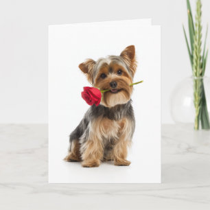 Tarjeta Yorkie Valentine – Perrito Pequeño, Gran Amor
