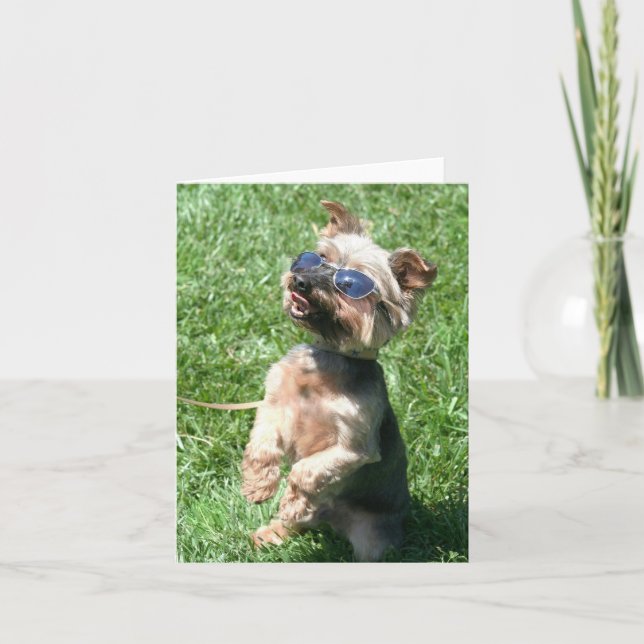 Tarjeta Yorkshire fresco Terrie Notecard (Anverso)