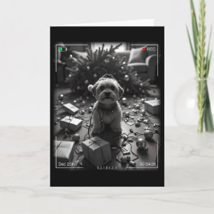 Tarjeta Yorkshire Terrier de Navidad Captado por la Cámara