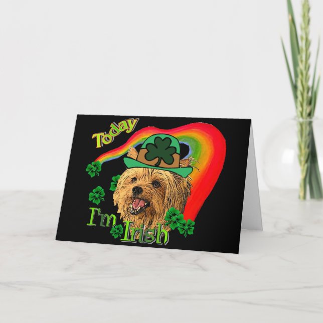 Tarjeta Yorkshire Terrier de St Patrick (Anverso)