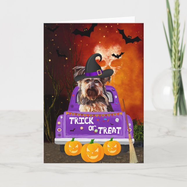 Tarjeta yorkshire terrier Dog in Halloween Truck (Anverso)