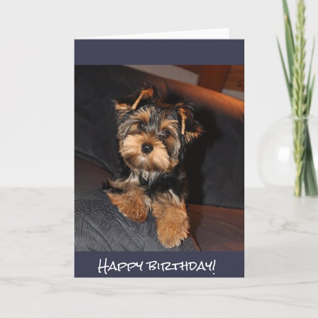Tarjeta ¡Yorkshire Terrier lindo, feliz cumpleaños! (Anverso)