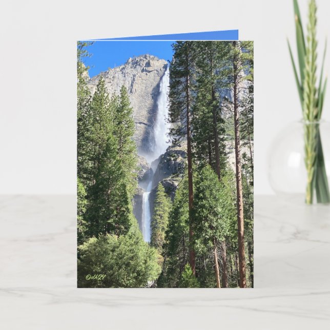 Tarjeta Yosemite 2024 (Anverso)