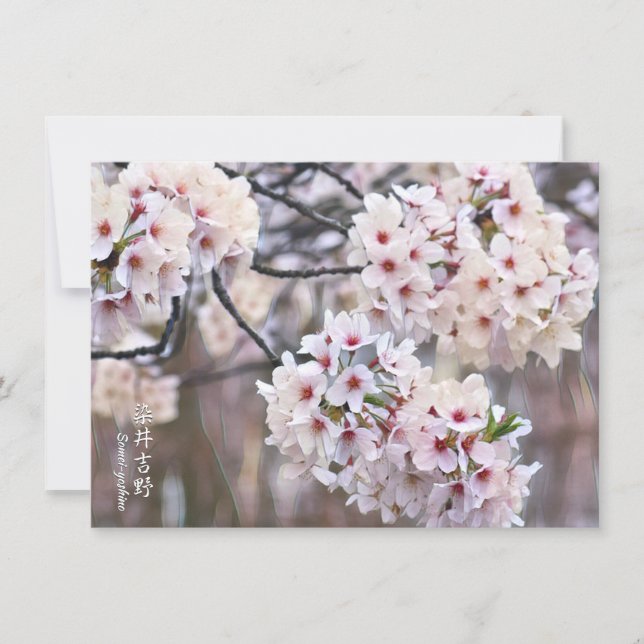 Tarjeta Yoshino Cherry (Anverso)