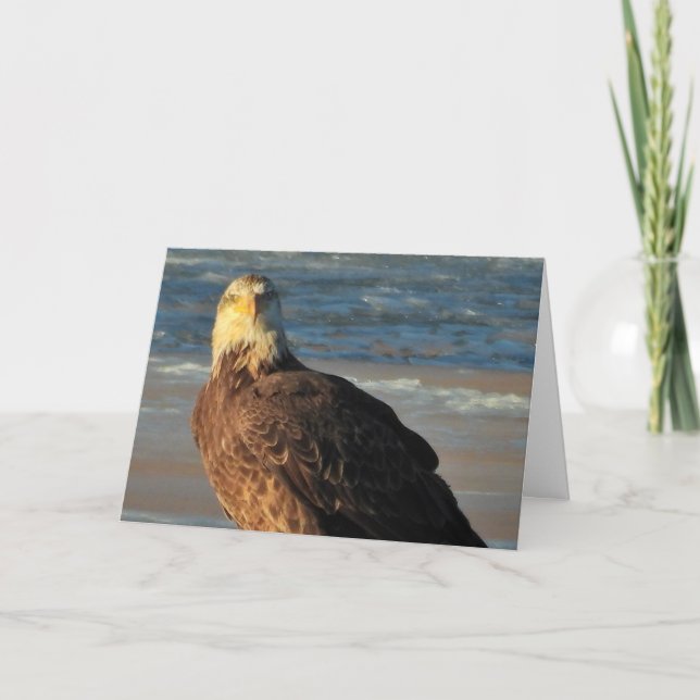 Tarjeta Young Bald Eagle on the Beach Birthday Card (Anverso)