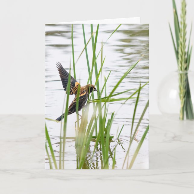 Tarjeta Young Bird in Flight (Anverso)