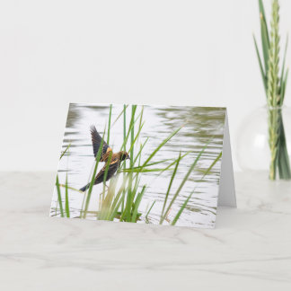 Tarjeta Young Bird in Flight