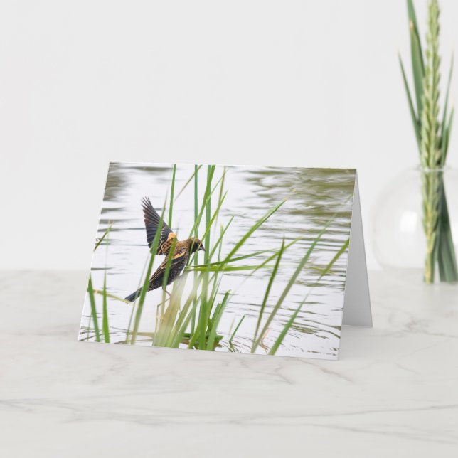 Tarjeta Young Bird in Flight (Anverso)