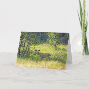 Tarjeta Young Buck en Yosemite, California
