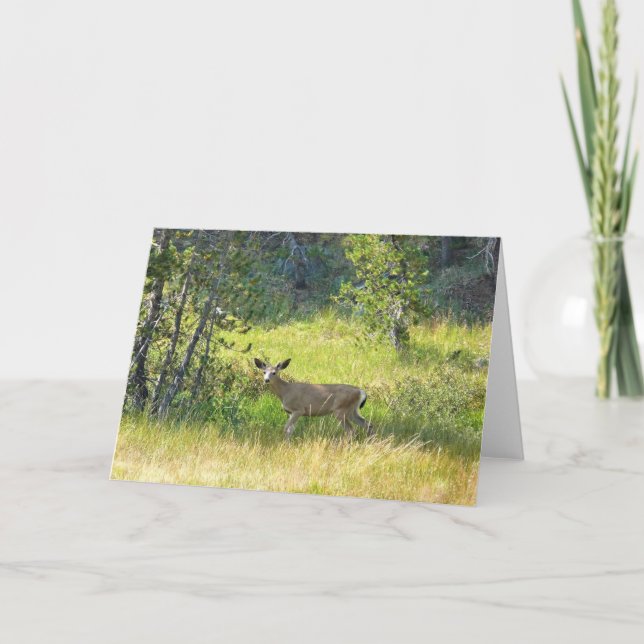 Tarjeta Young Buck en Yosemite, California (Anverso)