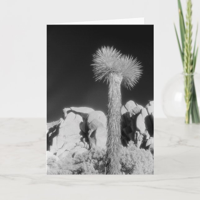 Tarjeta Yuca #1 (Anverso)