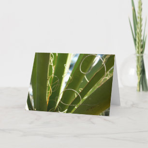 Tarjeta Yucca deja fotografía verde de la naturaleza