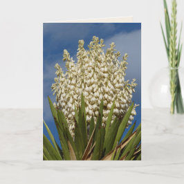 Tarjeta Yucca floreciente, flores, saludo en blanco suroes