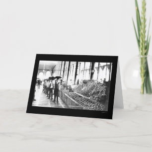 Tarjeta Zacatecas, Mercado Alimentario de México, 1904