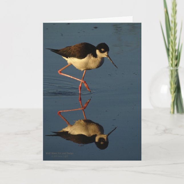 Tarjeta Zanco Negro-Necked del pájaro que vadea de la ave (Anverso)