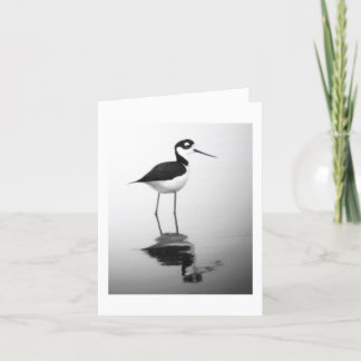 Tarjeta zanco Negro-necked Notecard