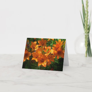 Tarjeta Zazzle Naranja Floral Blank Notecard