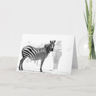 Tarjeta Zebra