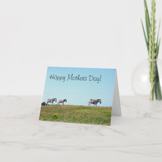 Tarjeta Zebra Herd Happy Mothers Day (Anverso)
