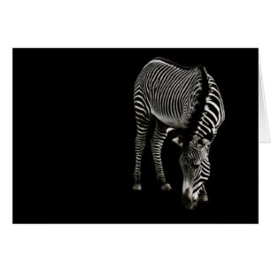 Tarjeta Zebra P4435