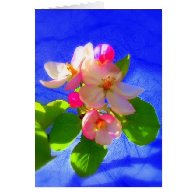 Tarjeta Zen Blossoms (Frente)