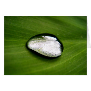 Tarjeta Zen Rain Drop Card