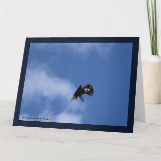 Tarjeta Zeroing in the Catch