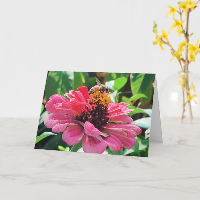Tarjeta Zinnia Honey Bee (flor amarilla)