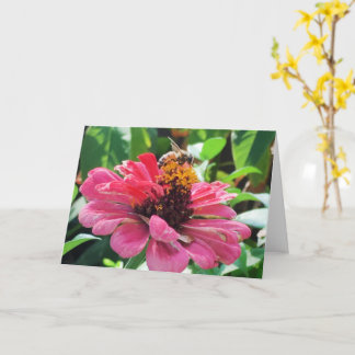 Tarjeta Zinnia Honey Bee