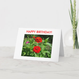 Tarjeta ¡Zinnias brillantes, FELIZ CUMPLEAÑOS!